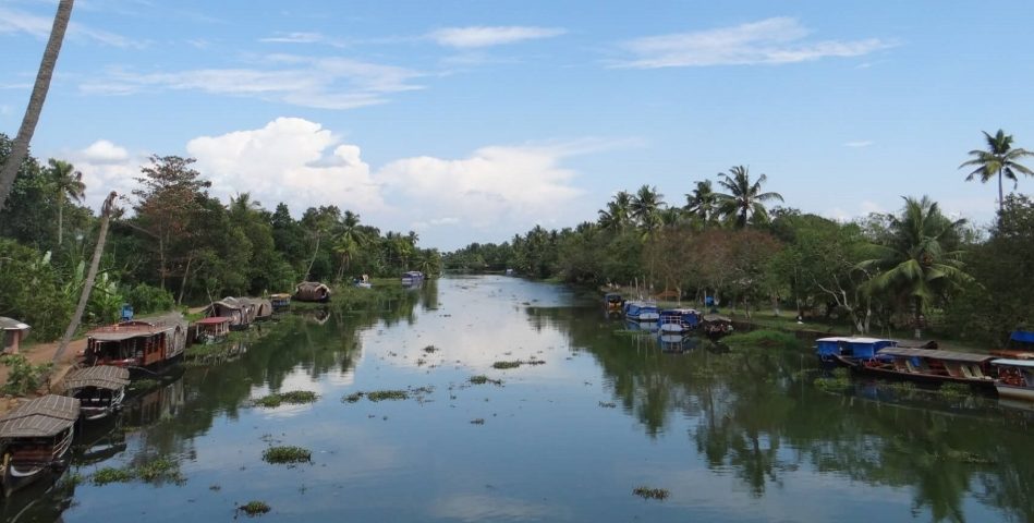 കുമരകം പക്ഷി സങ്കേതത്തിൽ